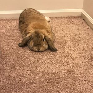 Meet your Posher, Emm